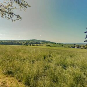 Blick in die Ferne