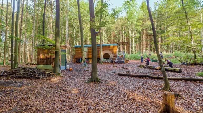 Waldkindergarten Kathrinhagen Auetal