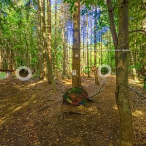 Waldkindergarten Kathrinhagen Auetal