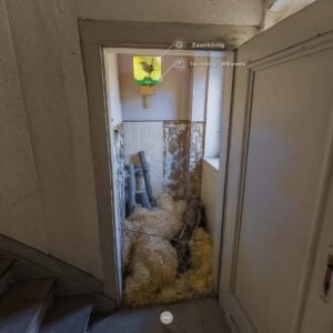 Der Zaunkönig im Artenschutzhaus Stemmen