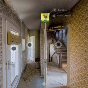 Der Zaunkönig im Artenschutzhaus Stemmen